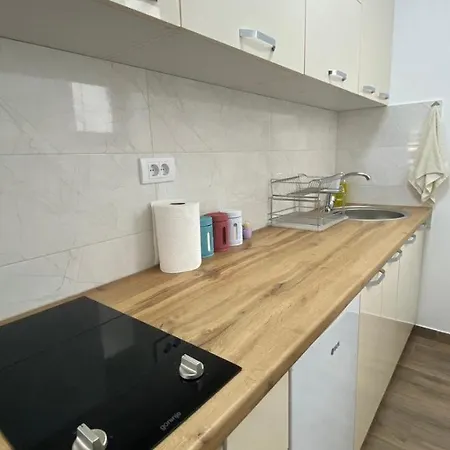 Ruzica Appartement Sokobanja