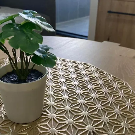 Ruzica Appartement *