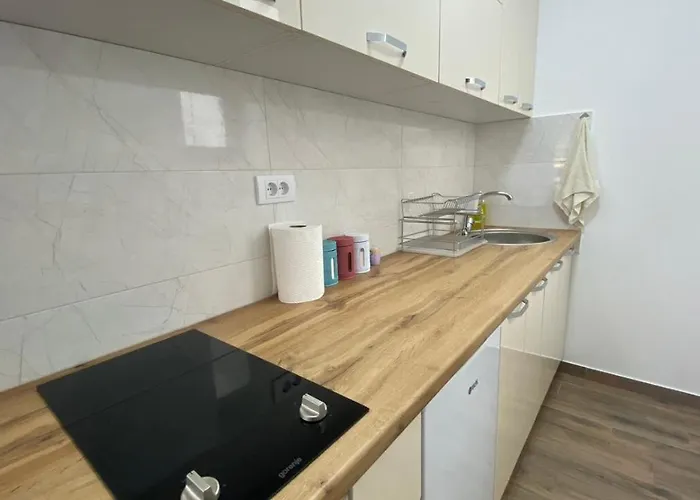 Ruzica Appartamento Soko Banja